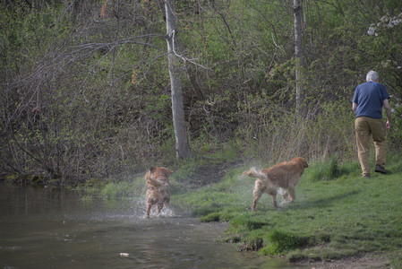 20250429_Plants and Dog Park__DSC0187_.jpg