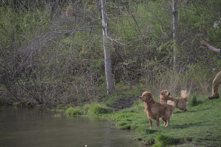 20250429_Plants and Dog Park__DSC0188_.jpg