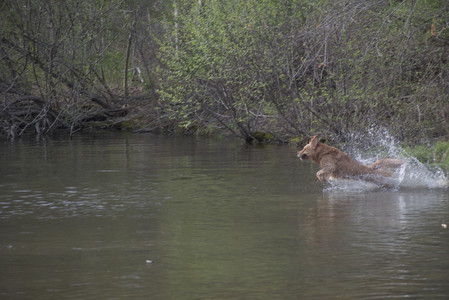 20250429_Plants and Dog Park__DSC0193_.jpg