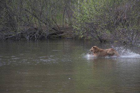 20250429_Plants and Dog Park__DSC0194_.jpg
