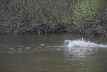 20250429_Plants and Dog Park__DSC0195_.jpg