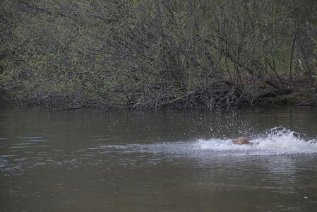 20250429_Plants and Dog Park__DSC0198_.jpg