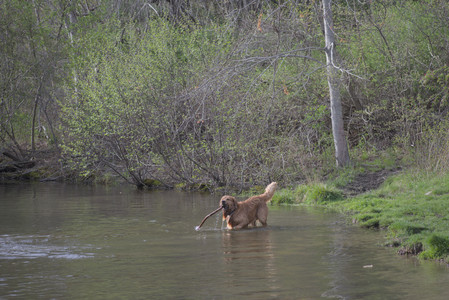 20250429_Plants and Dog Park__DSC0203_.jpg