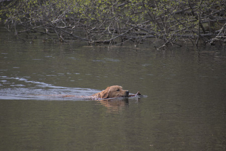 20250429_Plants and Dog Park__DSC0239_.jpg