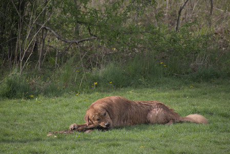 20250429_Plants and Dog Park__DSC0241_.jpg