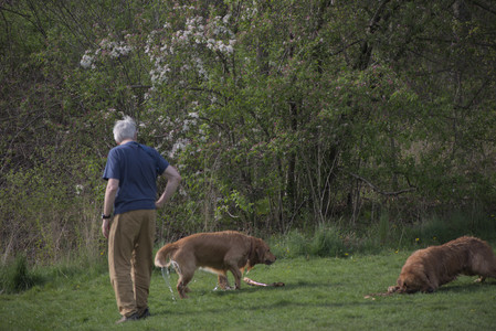 20250429_Plants and Dog Park__DSC0242_.jpg