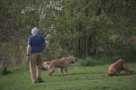 20250429_Plants and Dog Park__DSC0244_.jpg