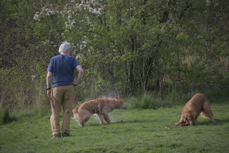 20250429_Plants and Dog Park__DSC0246_.jpg