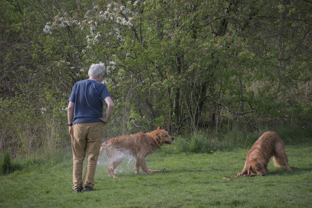 20250429_Plants and Dog Park__DSC0249_.jpg