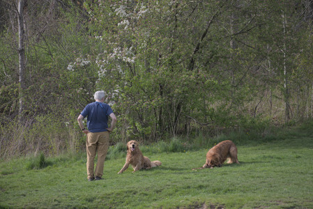 20250429_Plants and Dog Park__DSC0251_.jpg