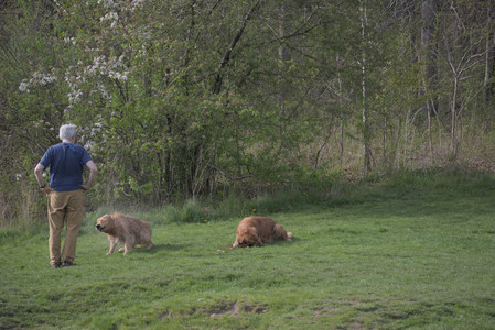 20250429_Plants and Dog Park__DSC0253_.jpg