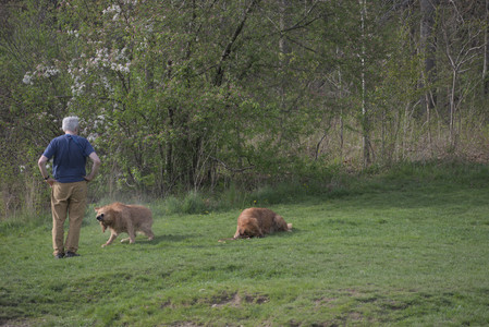 20250429_Plants and Dog Park__DSC0254_.jpg