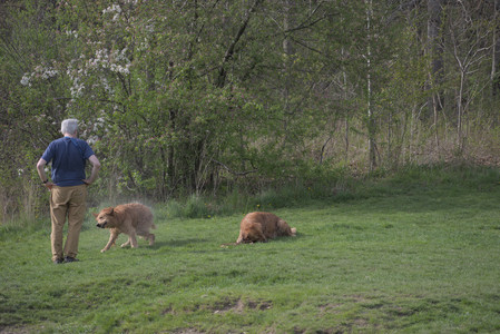 20250429_Plants and Dog Park__DSC0255_.jpg