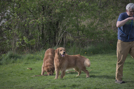 20250429_Plants and Dog Park__DSC0261_.jpg