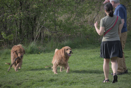 20250429_Plants and Dog Park__DSC0265_.jpg