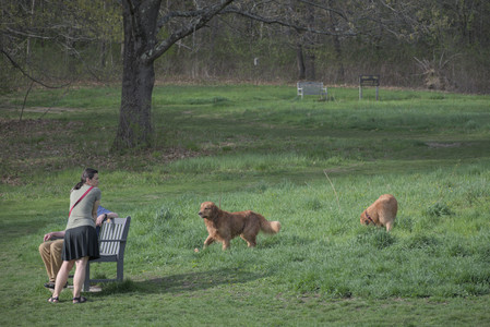 20250429_Plants and Dog Park__DSC0317_.jpg