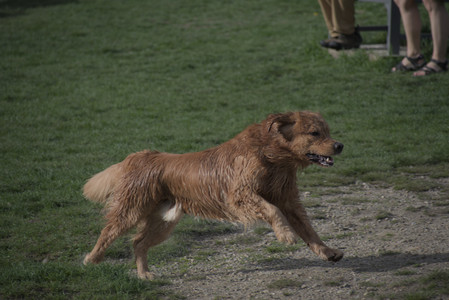 20250429_Plants and Dog Park__DSC0328_.jpg