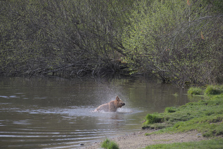 20250429_Plants and Dog Park__DSC0350_0.jpg