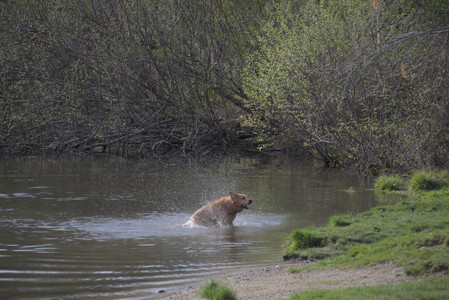 20250429_Plants and Dog Park__DSC0352_.jpg