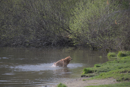 20250429_Plants and Dog Park__DSC0353_.jpg