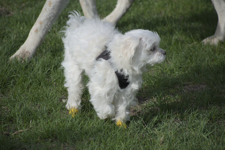 20250429_Plants and Dog Park__DSC0389_.jpg