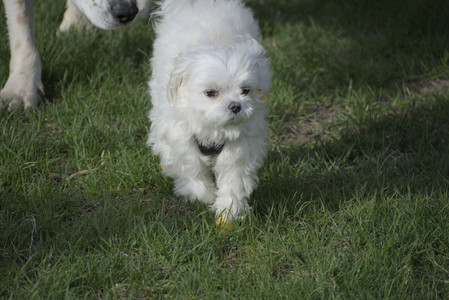 20250429_Plants and Dog Park__DSC0391_.jpg