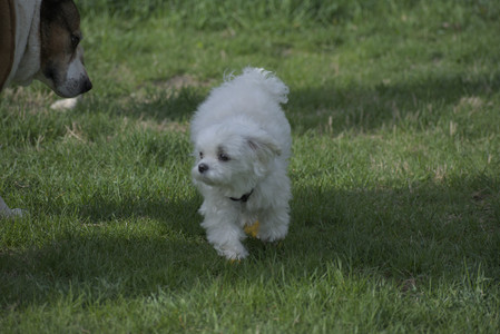 20250429_Plants and Dog Park__DSC0397_.jpg