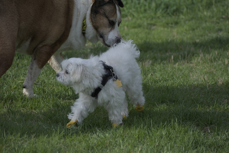 20250429_Plants and Dog Park__DSC0399_.jpg