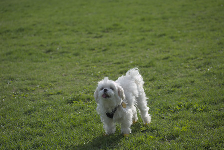 20250429_Plants and Dog Park__DSC0404_.jpg