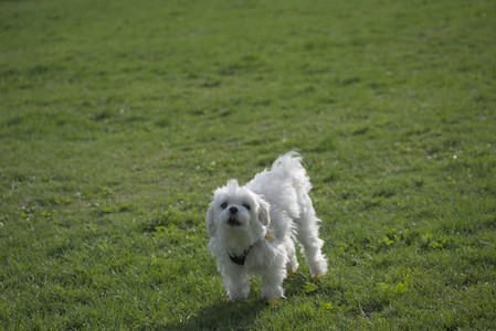 20250429_Plants and Dog Park__DSC0405_.jpg