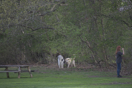 20250429_Plants and Dog Park__DSC0416_.jpg