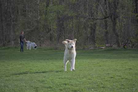 20250429_Plants and Dog Park__DSC0423_.jpg