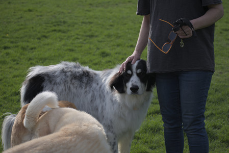 20250429_Plants and Dog Park__DSC0460_.jpg