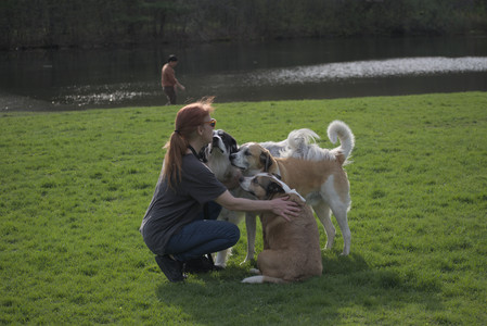 20250429_Plants and Dog Park__DSC0478_.jpg