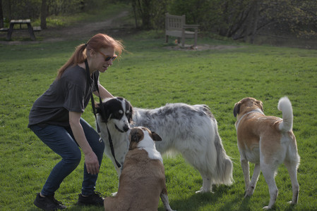 20250429_Plants and Dog Park__DSC0482_.jpg