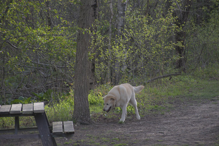 20250429_Plants and Dog Park__DSC0515_.jpg