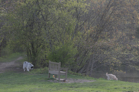 20250429_Plants and Dog Park__DSC0519_.jpg