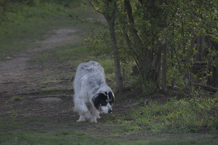 20250429_Plants and Dog Park__DSC0520_.jpg