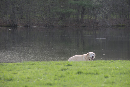 20250429_Plants and Dog Park__DSC0522_.jpg