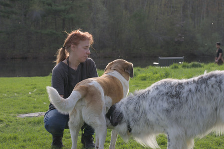 20250429_Plants and Dog Park__DSC0542_.jpg