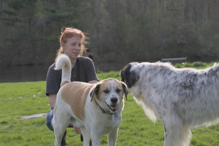 20250429_Plants and Dog Park__DSC0545_.jpg