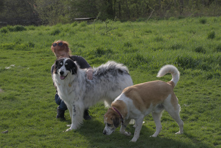 20250429_Plants and Dog Park__DSC0547_.jpg