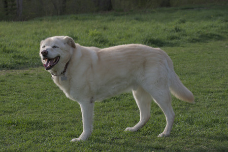 20250429_Plants and Dog Park__DSC0556_.jpg