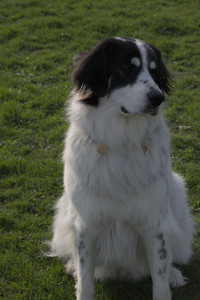 20250429_Plants and Dog Park__DSC0561_.jpg