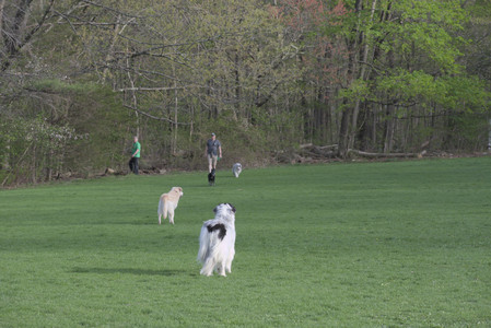 20250429_Plants and Dog Park__DSC0564_.jpg