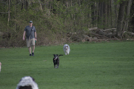 20250429_Plants and Dog Park__DSC0567_.jpg