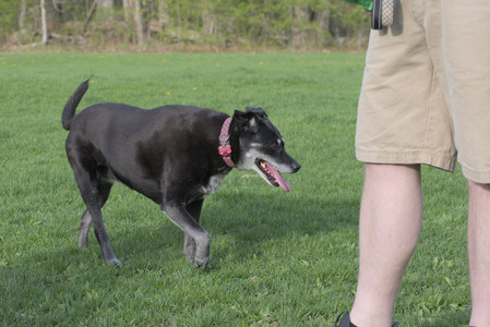 20250429_Plants and Dog Park__DSC0579_.jpg