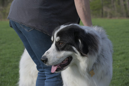 20250429_Plants and Dog Park__DSC0584_.jpg