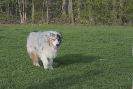 20250429_Plants and Dog Park__DSC0585_.jpg