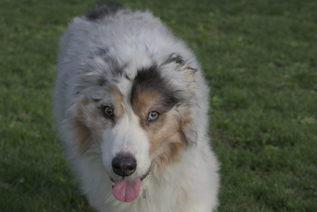 20250429_Plants and Dog Park__DSC0595_.jpg